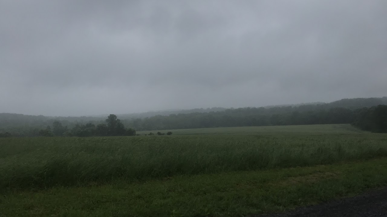 A Rainy Day