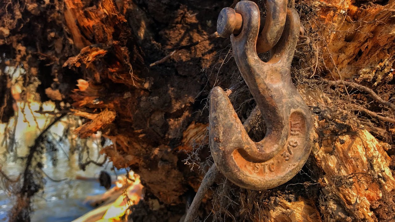 An Anchor In Wood